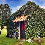 Casa Camelias