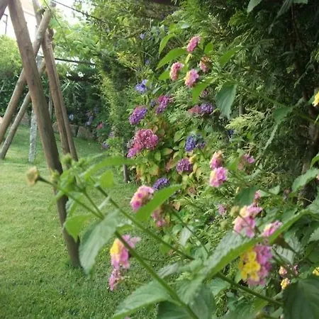 Casa Camelias * Sa