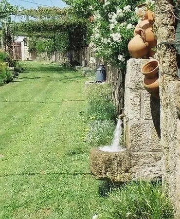 Casa Camelias *