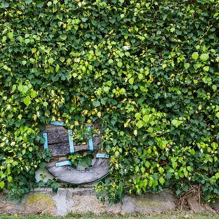 Séjour à la campagne Casa Camelias