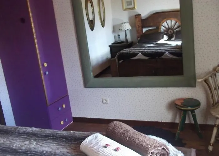 Gospodarstwo wiejskie Casa Camelias Sá