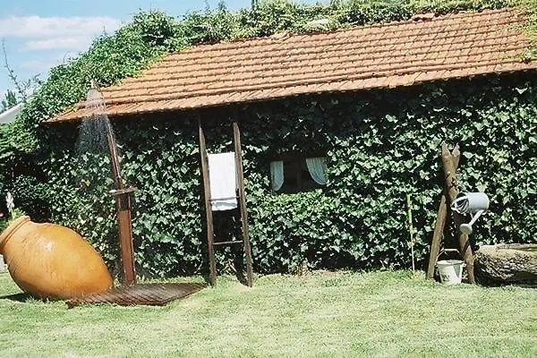 Gospodarstwo wiejskie Casa Camelias *