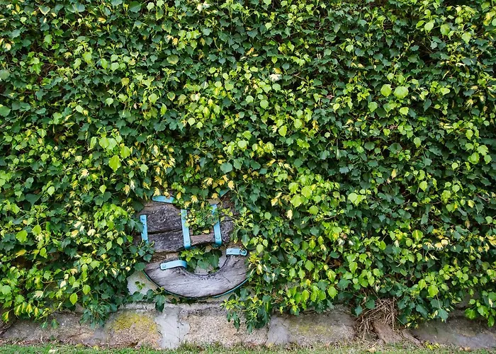 Εξοχικό σπίτι Casa Das Camelias